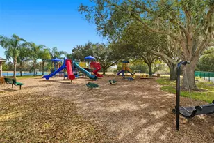 6416 Thoroughbred Loop, Odessa, FL 33556 - Photo 50