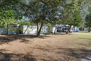 2910 E 147th Ave, Lutz, FL 33559 - Photo 6