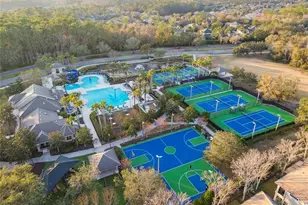 14617 Tudor Chase Dr, Tampa, FL 33626 - Photo 62