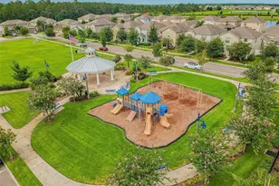 12775 Maple Bonsai Dr, Riverview, FL 33579 - Photo 50