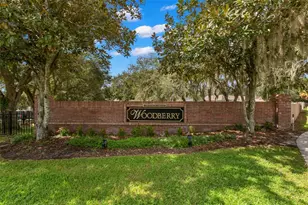 734 Berry Bramble Dr, Brandon, FL 33510 - Photo 48