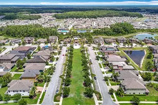 1069 Montgomery Bell Rd, Wesley Chapel, FL 33543 - Photo 46