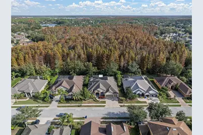 15035 Wind Whisper Drive, Odessa, FL 33556 - Photo 42