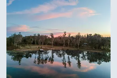 16429 Indian Mound Road, Tampa, FL 33613 - Photo 6