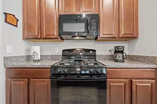 21362 Wistful Yearn Dr, Land O Lakes, FL 34637 - Photo 4