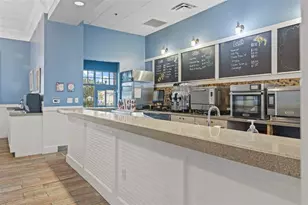 21362 Wistful Yearn Dr, Land O Lakes, FL 34637 - Photo 42