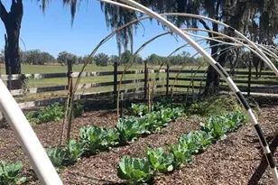 4900 J Jackson Rd, Fort Meade, FL 33841 - Photo 76