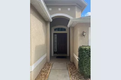 211 Westchester Hills Lane, Valrico, FL 33594 - Photo 4