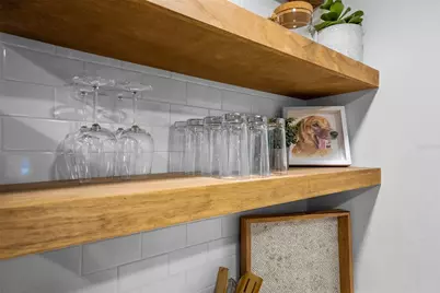 314 W Alva Street, Tampa, FL 33603 - Photo 16