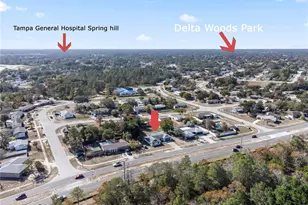 10072 Northcliffe Blvd, Spring Hill, FL 34608 - Photo 28