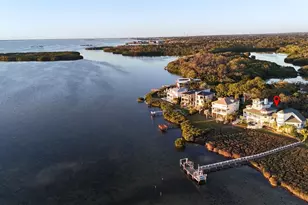 504 Hillsborough St, Palm Harbor, FL 34683 - Photo 62