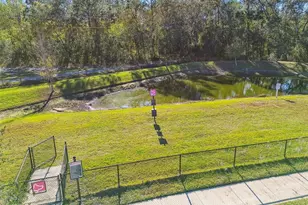 7139 Steer Blade Dr, Zephyrhills, FL 33541 - Photo 58