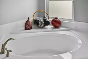 4457 Glenbrook Dr, Palm Harbor, FL 34683 - Photo 22