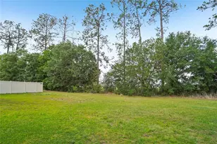 11467 Cay Spruce Wy, San Antonio, FL 33576 - Photo 44