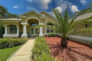 13807 Eagles Rock Ct, Hudson, FL 34667 - Photo 1
