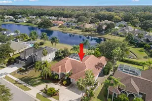 3830 Moreno Dr, Palm Harbor, FL 34685 - Photo 66