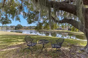 3830 Moreno Dr, Palm Harbor, FL 34685 - Photo 64