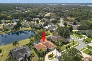 3830 Moreno Dr, Palm Harbor, FL 34685 - Photo 72