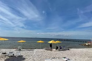 550 Calico Scallop St, Ruskin, FL 33570 - Photo 26