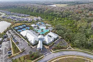 16803 Forge Surf St, Land O Lakes, FL 34638 - Photo 32