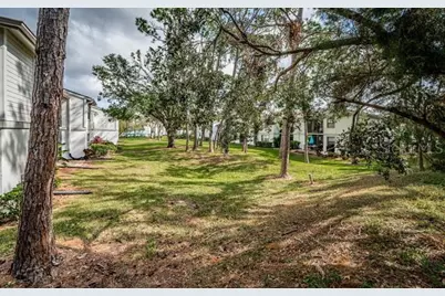 416 Meadow Lane #416, Oldsmar, FL 34677 - Photo 38