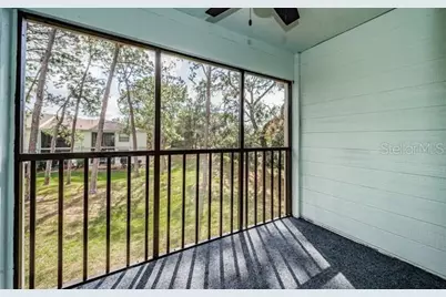 416 Meadow Lane #416, Oldsmar, FL 34677 - Photo 34