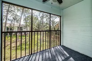 416 Meadow Ln, Oldsmar, FL 34677 - Photo 34