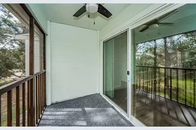 416 Meadow Lane #416, Oldsmar, FL 34677 - Photo 32