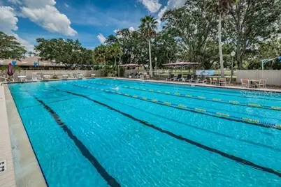 416 Meadow Lane #416, Oldsmar, FL 34677 - Photo 46