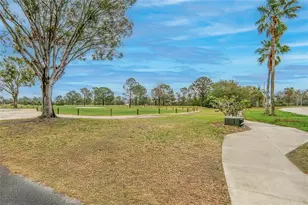 11709 Stonewood Gate Dr, Riverview, FL 33579 - Photo 56