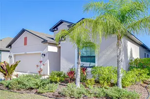 14326 Fissore Blvd, Wimauma, FL 33598 - Photo 2