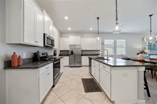 3138 Hilliard Dr, Wesley Chapel, FL 33543 - Photo 12