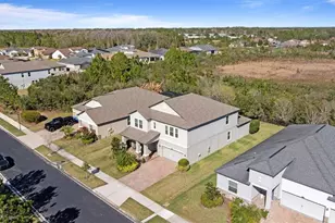 3138 Hilliard Dr, Wesley Chapel, FL 33543 - Photo 64