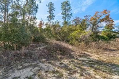 13014 Hanley Drive, Spring Hill, FL 34609 - Photo 10