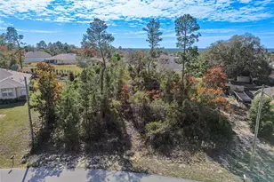 13014 Hanley Dr, Spring Hill, FL 34609 - Photo 1