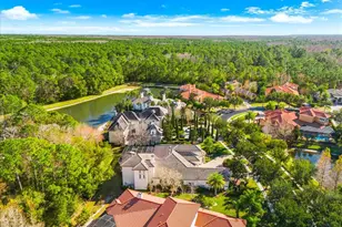 2661 Hawks Landing Blvd, Palm Harbor, FL 34685 - Photo 72