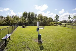 10179 Gliding Eagle Wy, Land O Lakes, FL 34638 - Photo 24