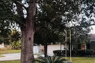 37252 Hilltop Dr, Zephyrhills, FL 33541 - Photo 40