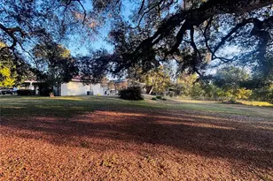 37252 Hilltop Dr, Zephyrhills, FL 33541 - Photo 52