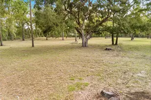 21210 137th Dr, O'Brien, FL 32071 - Photo 44