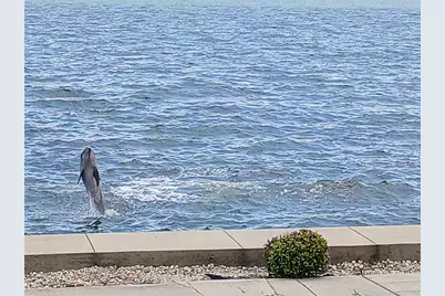 19029 US Highway 19 N #29E, Clearwater, FL 33764 - Photo 34