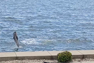 19029 US Hwy 19 N, Clearwater, FL 33764 - Photo 34