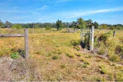 1505 W 60 Highway, Plant City, FL 33567 - Photo 26