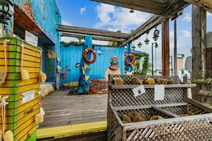 305 Grand Blvd, Tarpon Springs, FL 34689 - Photo 54