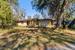 33073 Cassandra Way, Dade City, FL 33523 - Photo 1