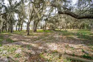 12510 Tocci Ln, Riverview, FL 33579 - Photo 30
