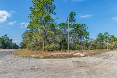 7082 N Treehaven Terrace, Citrus Springs, FL 34433 - Photo 12