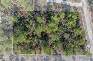 7082 N Treehaven Terrace, Citrus Springs, FL 34433 - Photo 1