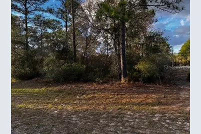 7082 N Treehaven Terrace, Citrus Springs, FL 34433 - Photo 1