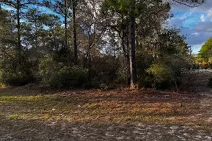 7082 N Treehaven Terrace, Citrus Springs, FL 34433 - Photo 1